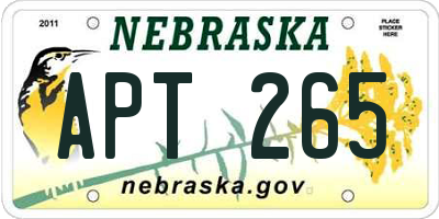 NE license plate APT265