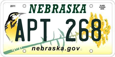 NE license plate APT268