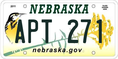 NE license plate APT271