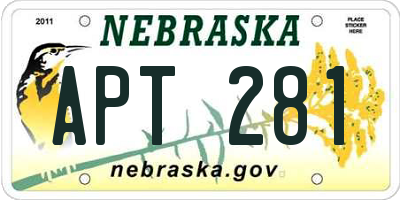 NE license plate APT281