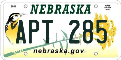 NE license plate APT285