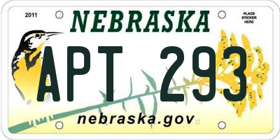 NE license plate APT293