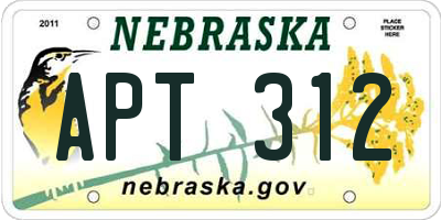 NE license plate APT312