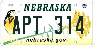 NE license plate APT314