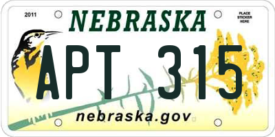 NE license plate APT315