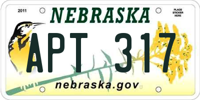 NE license plate APT317