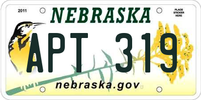 NE license plate APT319