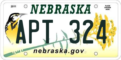 NE license plate APT324