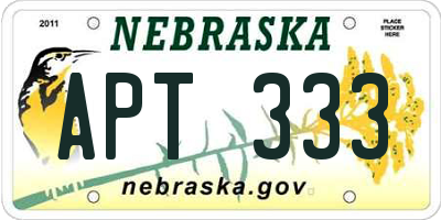 NE license plate APT333