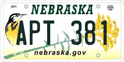 NE license plate APT381