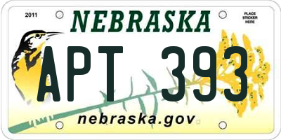 NE license plate APT393