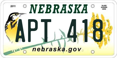 NE license plate APT418
