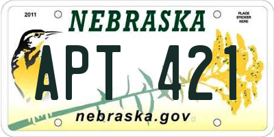 NE license plate APT421