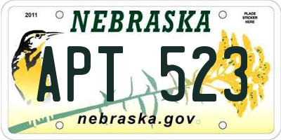 NE license plate APT523