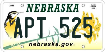 NE license plate APT525