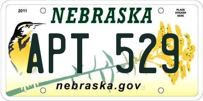 NE license plate APT529