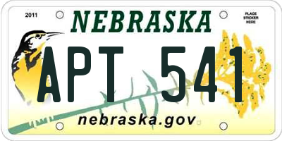 NE license plate APT541