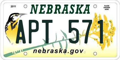 NE license plate APT571