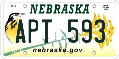 NE license plate APT593