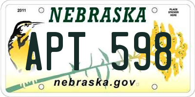 NE license plate APT598
