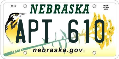 NE license plate APT610