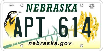 NE license plate APT614