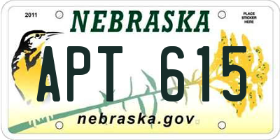 NE license plate APT615