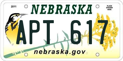NE license plate APT617