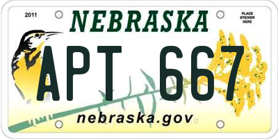 NE license plate APT667
