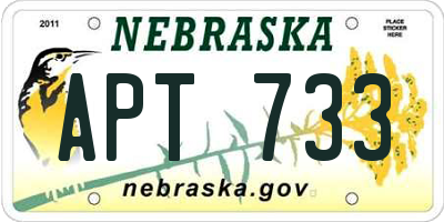 NE license plate APT733