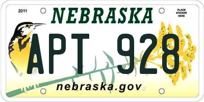 NE license plate APT928