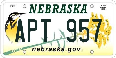NE license plate APT957