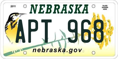 NE license plate APT968