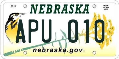 NE license plate APU010