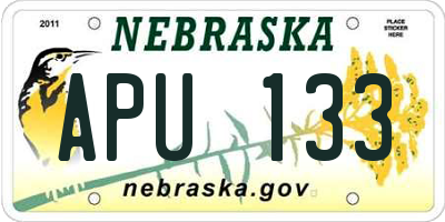NE license plate APU133