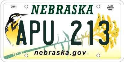 NE license plate APU213