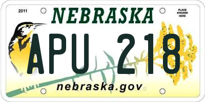 NE license plate APU218