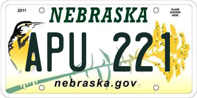 NE license plate APU221