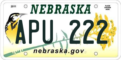 NE license plate APU222