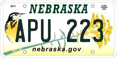 NE license plate APU223
