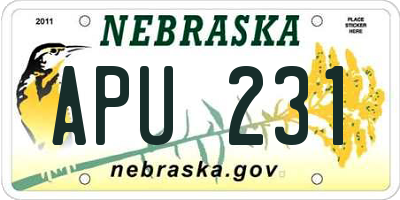 NE license plate APU231