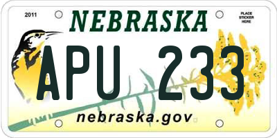 NE license plate APU233