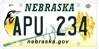 NE license plate APU234