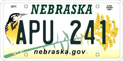 NE license plate APU241