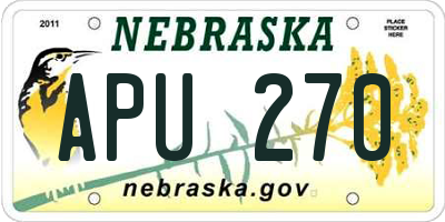 NE license plate APU270