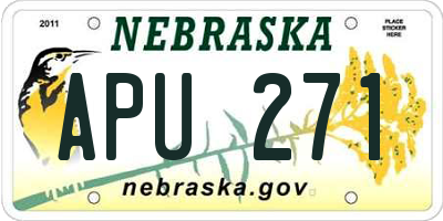 NE license plate APU271