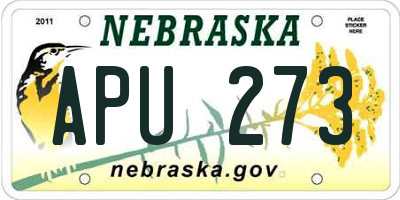 NE license plate APU273