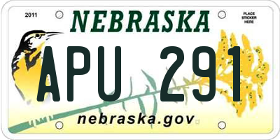 NE license plate APU291