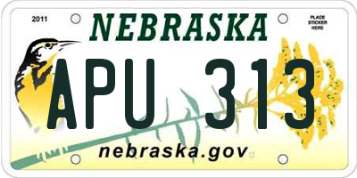 NE license plate APU313