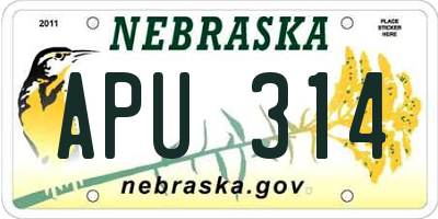 NE license plate APU314
